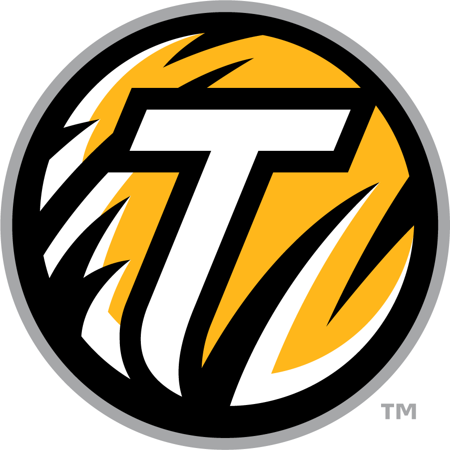 Towson Tigers 2011-2020 Secondary Logo iron on transfers for clothing